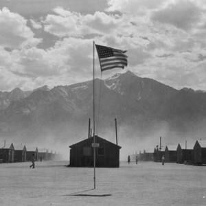 Meet your Posher, Wally